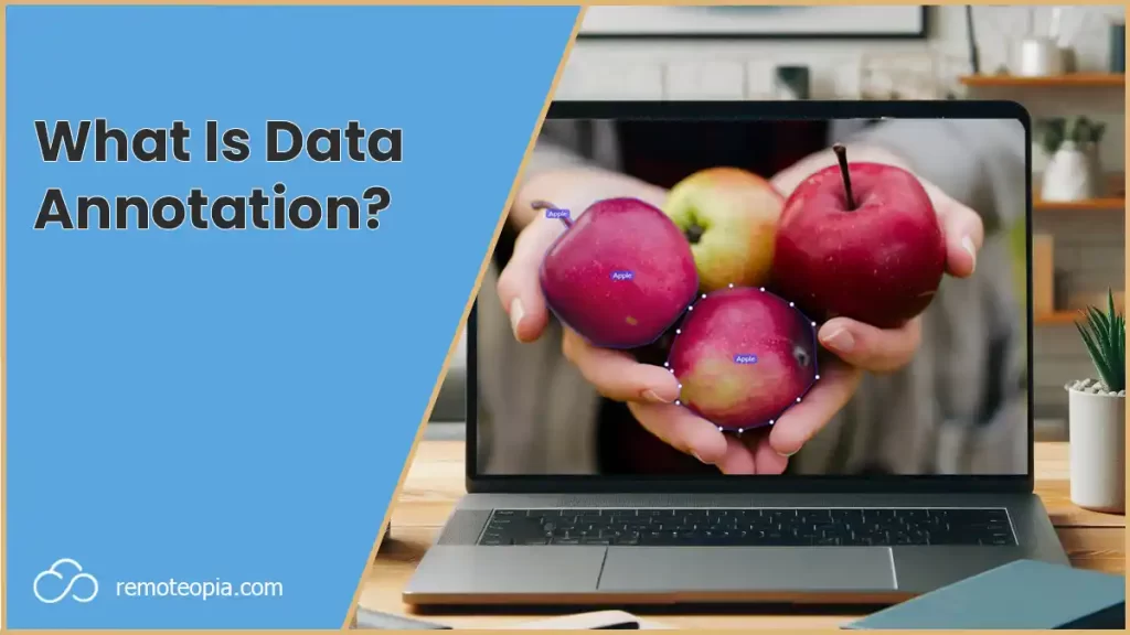 what is data annotation